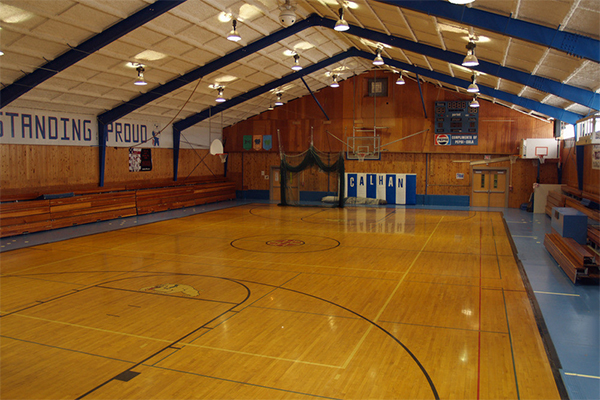 實(shí)木運(yùn)動(dòng)地板