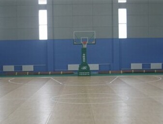 遼寧撫順運(yùn)動地板廠家為你揭秘運(yùn)動地板的廣泛之處