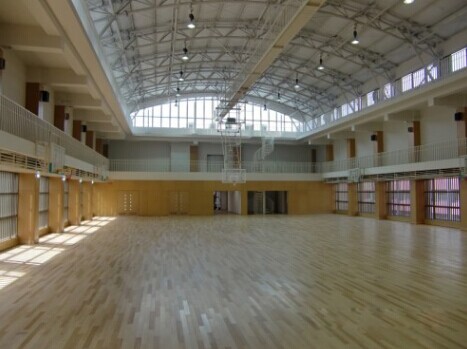 運(yùn)動地板,運(yùn)動地板廠家