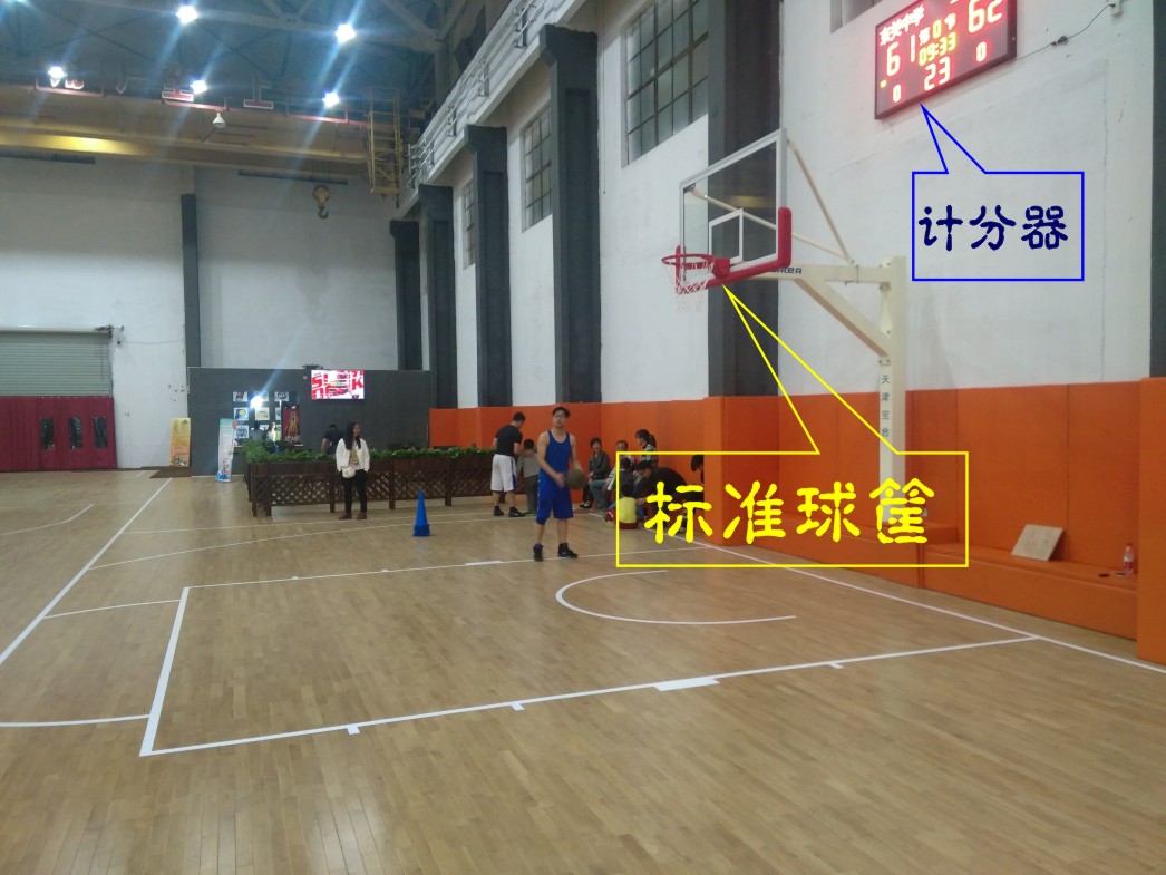 運動木地板,體育木地板