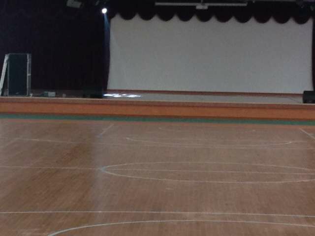 運(yùn)動(dòng)木地板