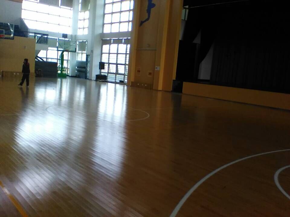 運(yùn)動木地板