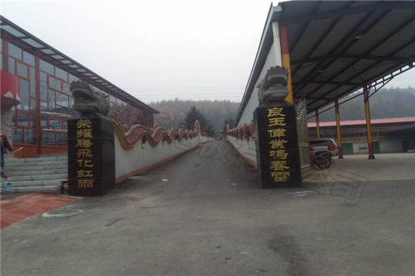 運(yùn)動木地板