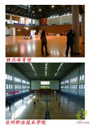 楓木運(yùn)動(dòng)地板與柞木運(yùn)動(dòng)地板的比較